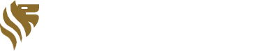 Lavvi